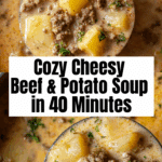 Creamy Mushroom Soup Recipe - Perfect Comfort Food Recipe