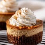 Mini Pumpkin Cheesecakes Recipe