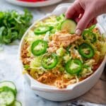Loaded Paleo Chicken Taco Dip Recipe