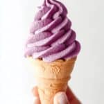 Blueberry Frozen Yogurt Recipe